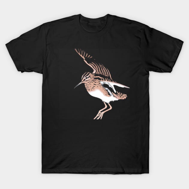 Common Snipe T-Shirt by Imutobi